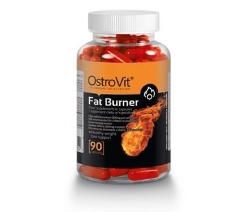 Fat Burner 90 caps Ostrovit
